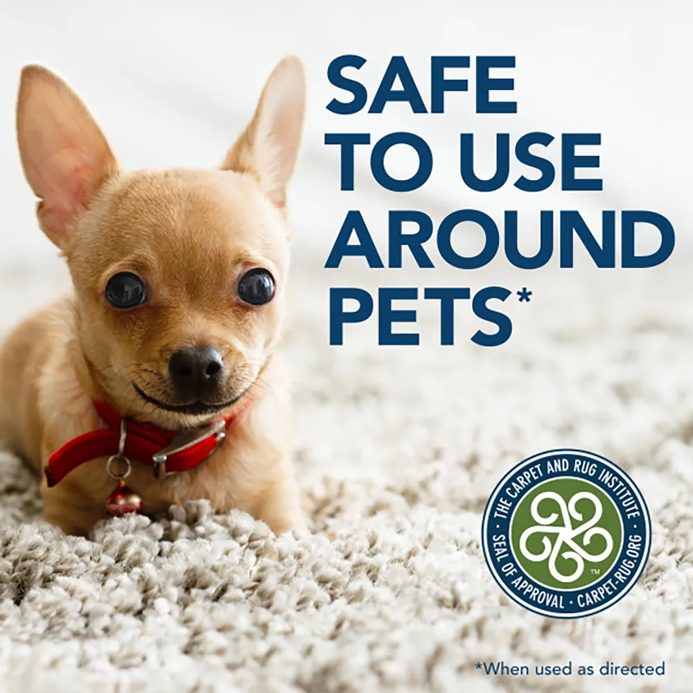 SIMPLE SOLUTION Oxy Charged Stain & Odor Remover - Image 4