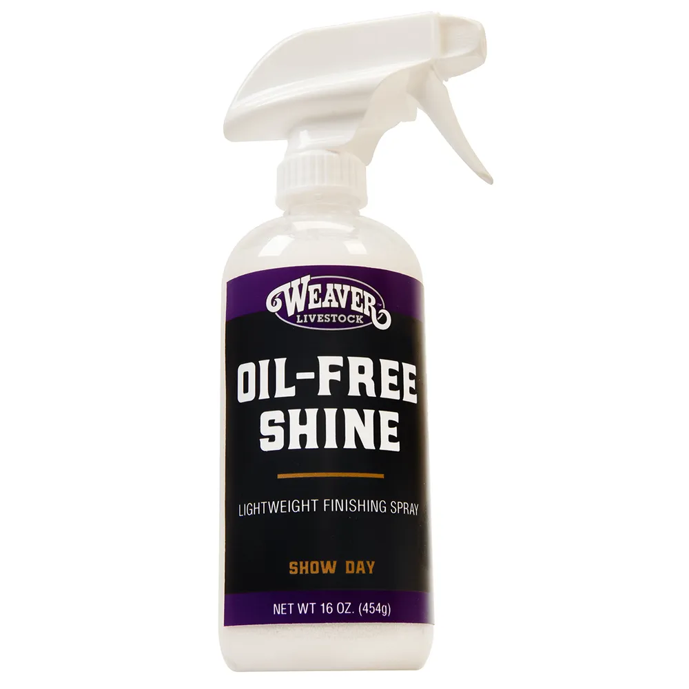 Oil-Free Shine Finishing Spray
