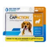 CapAction Flea Protection For Dogs