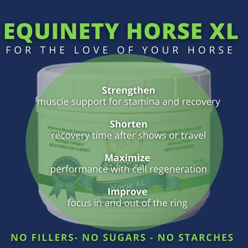 Equinety Horse XL Supplement - Image 4