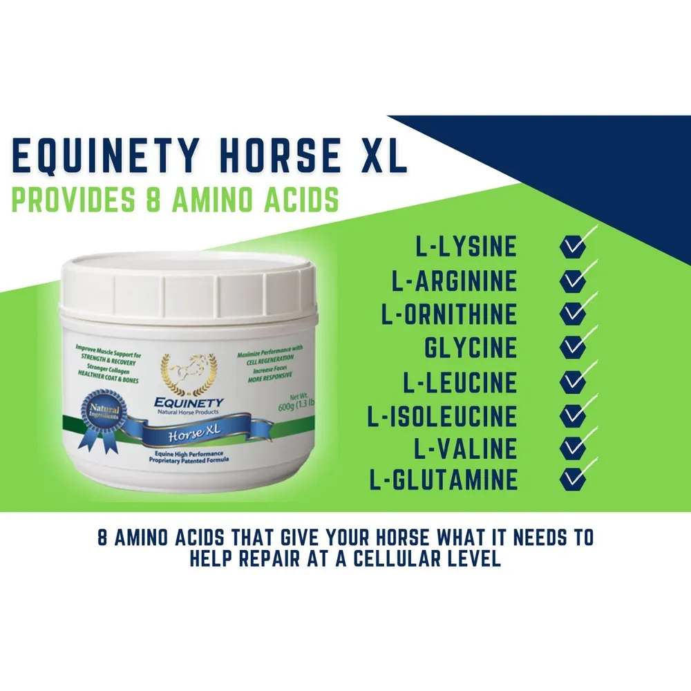 Equinety Horse XL Supplement - Image 5