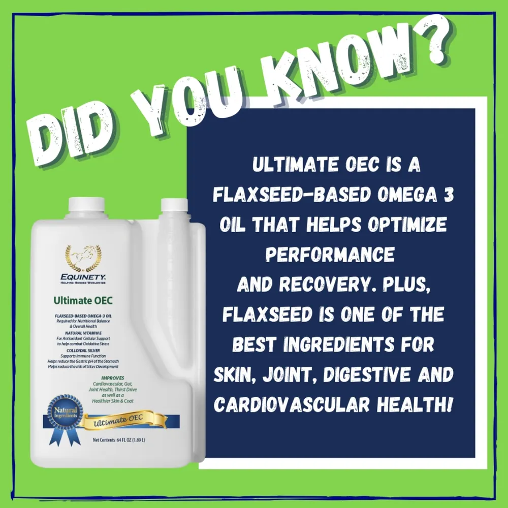 Equinety Ultimate OEC Supplement - Image 6