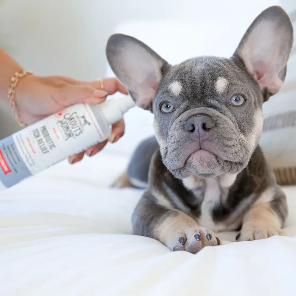 Probiotic Itch Relief - Image 4