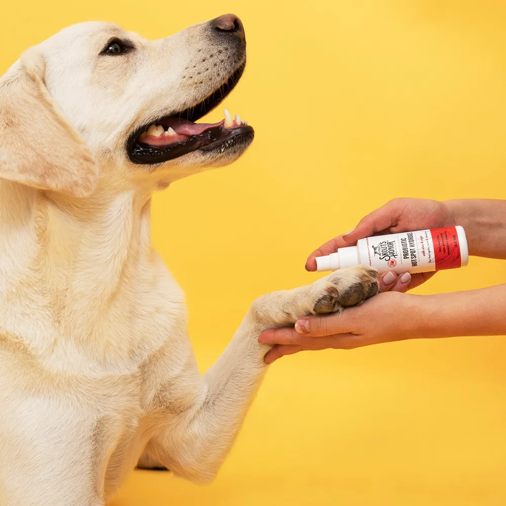 Probiotic Hot Spot Hydrogel - Image 2