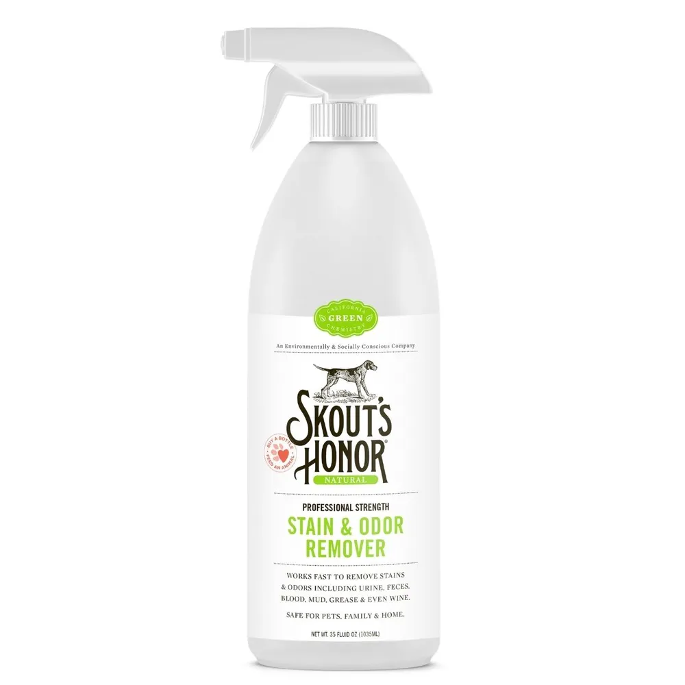 Stain & Odor Remover Spray