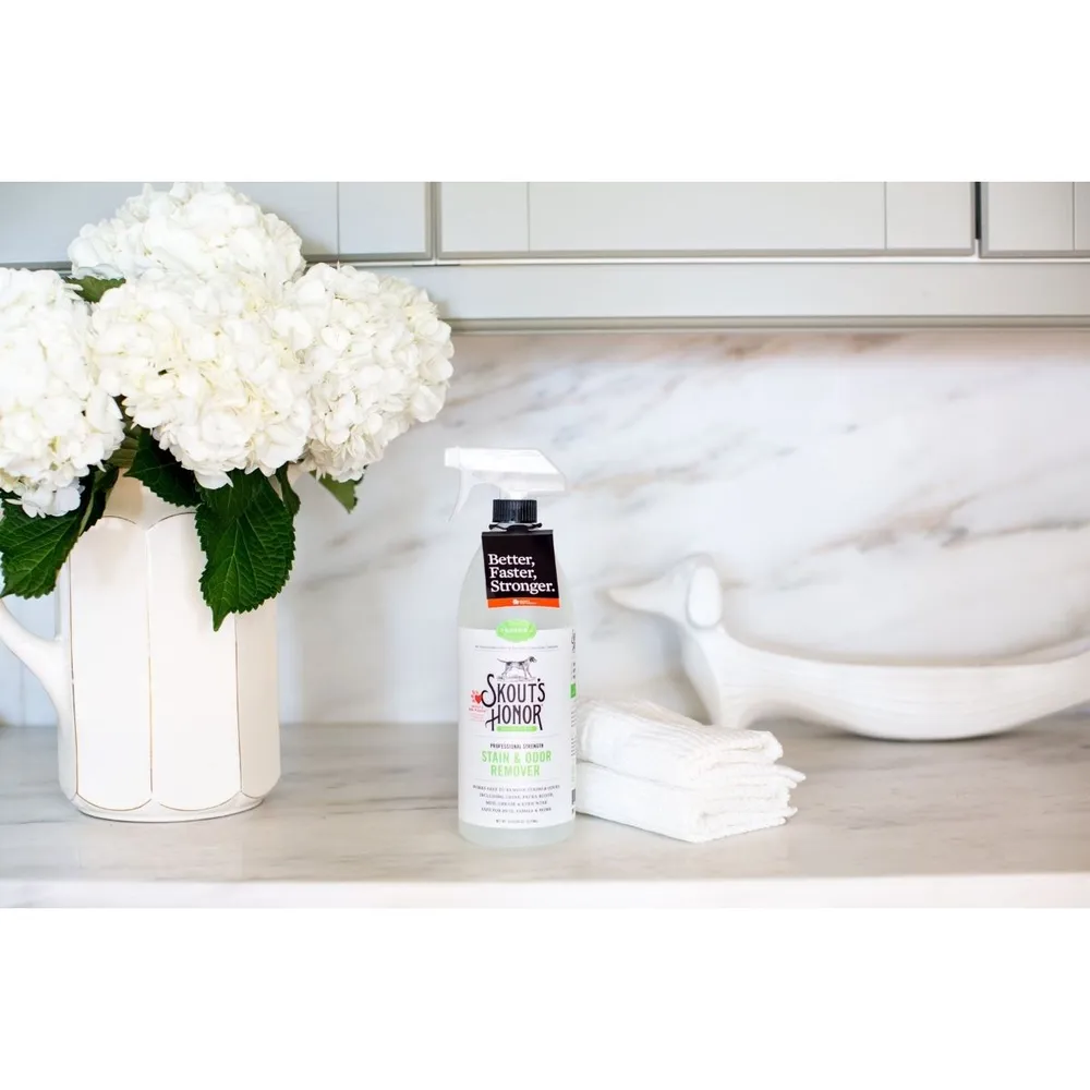 Stain & Odor Remover Spray - Image 3