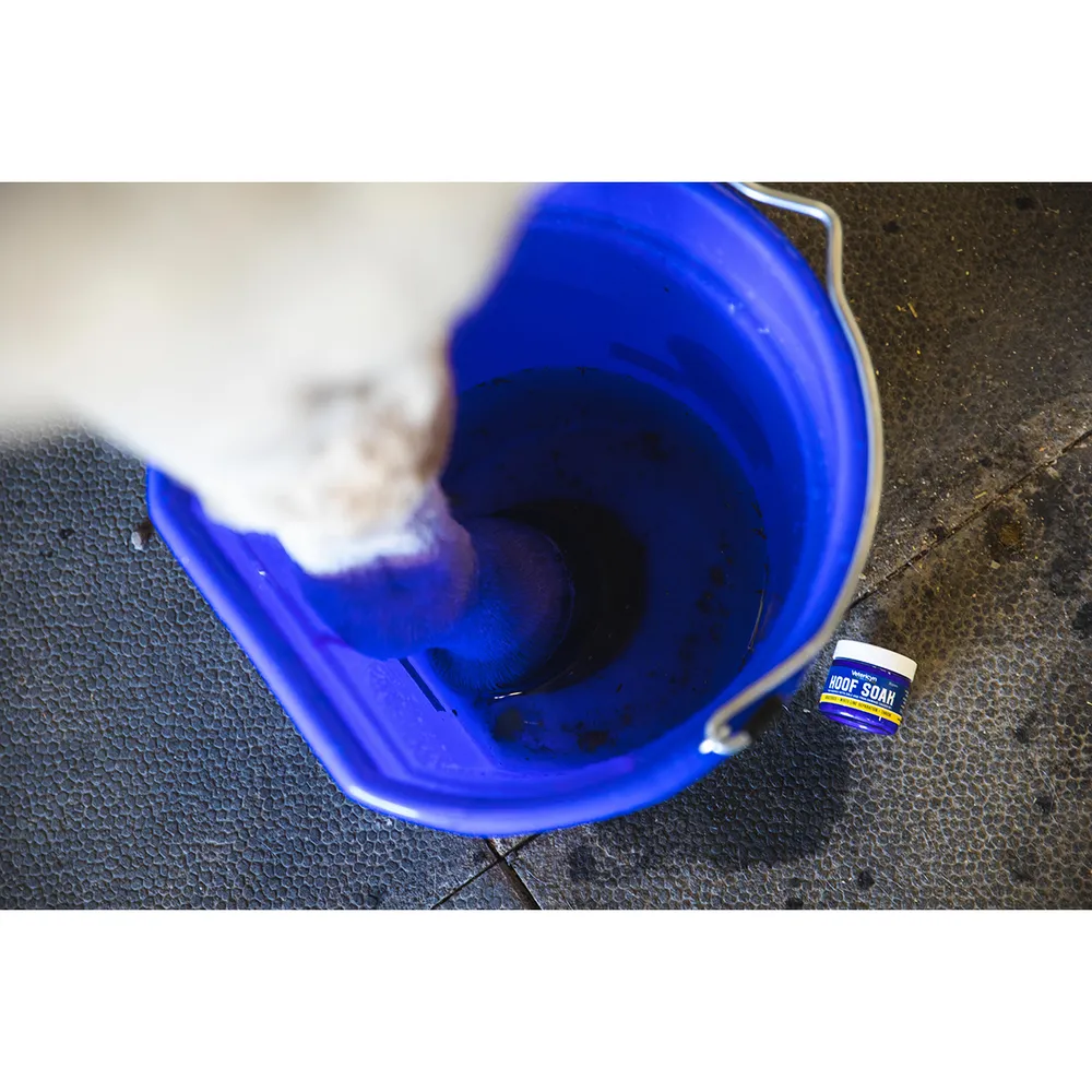 Vetericyn Mobility Equine Hoof Soak - Image 6