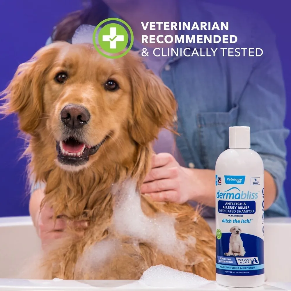 Anti-Itch & Allergy Relief Medicated Pet Shampoo - Image 5