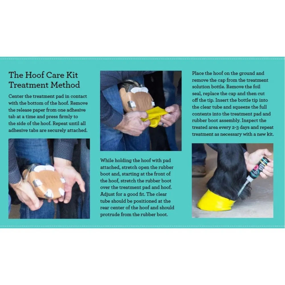 Curicyn Hoof Care Kit - Image 4