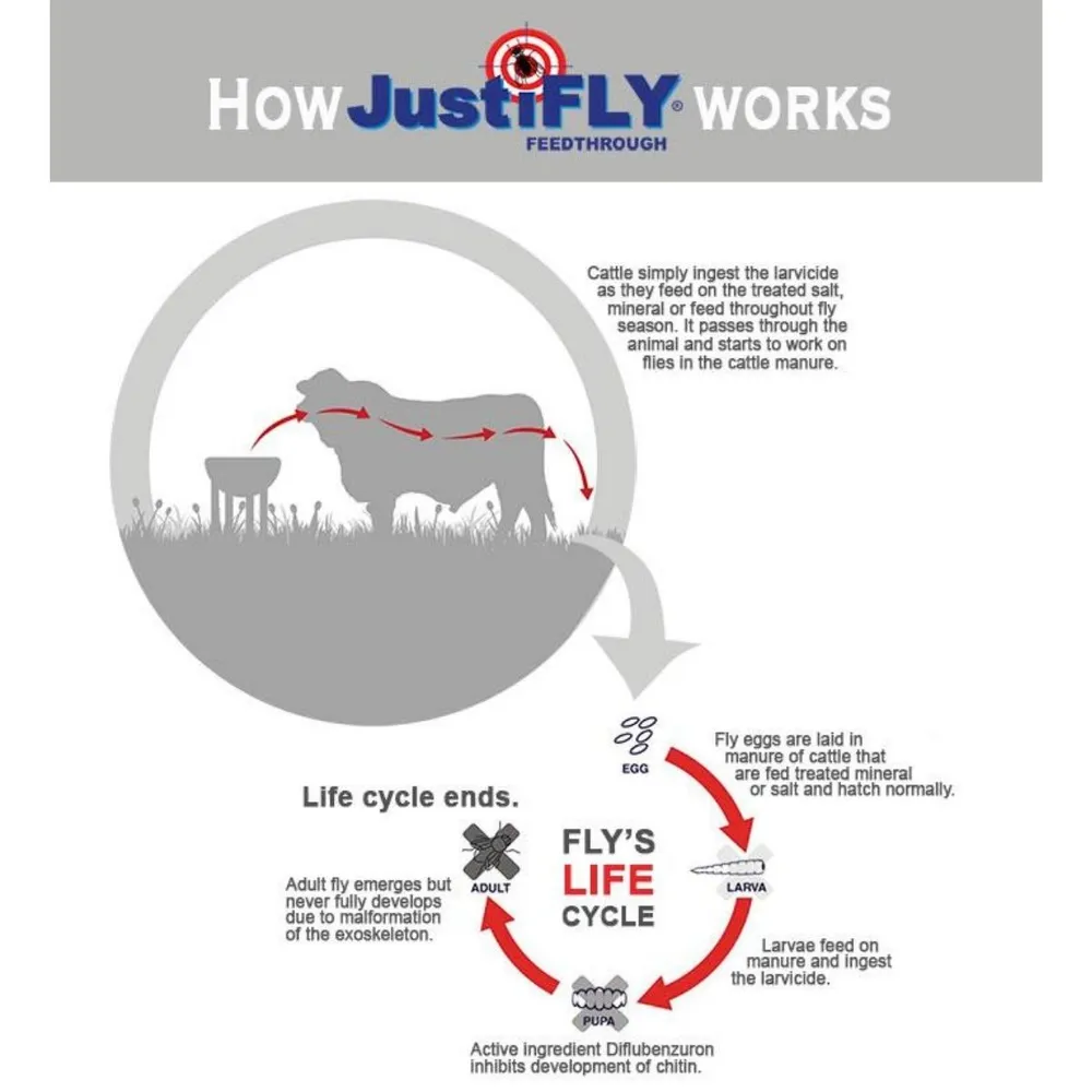 JustiFLY Liquid Feed Additive For Cattle - Image 2