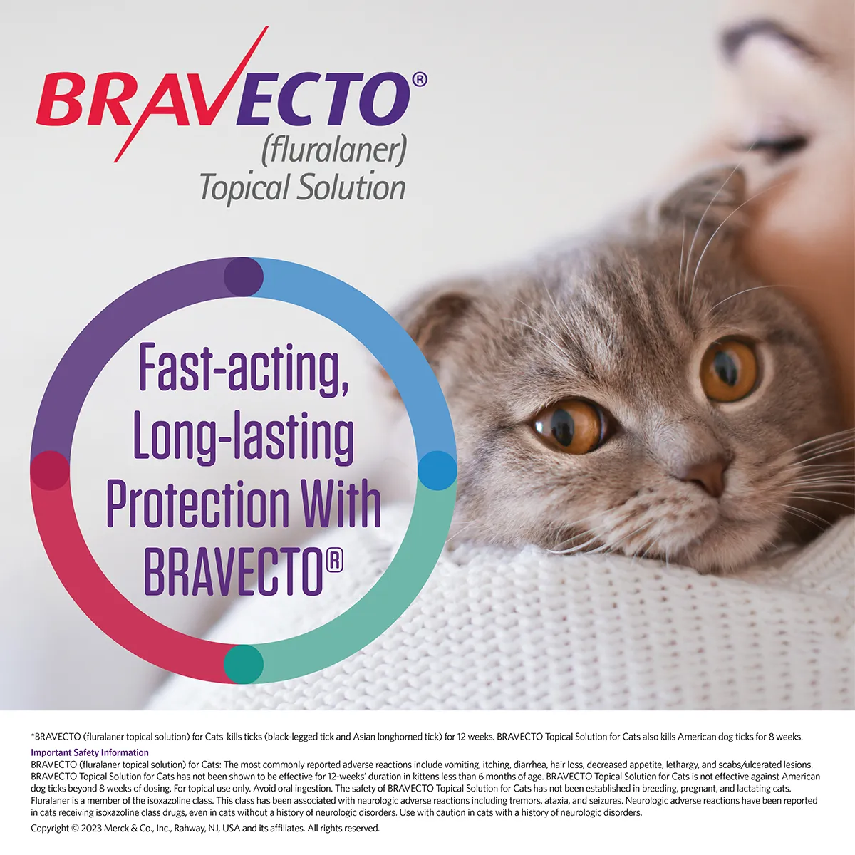 Bravecto Topical For Cats Rx - Image 2