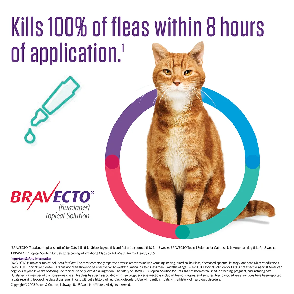 Bravecto Topical For Cats Rx - Image 3