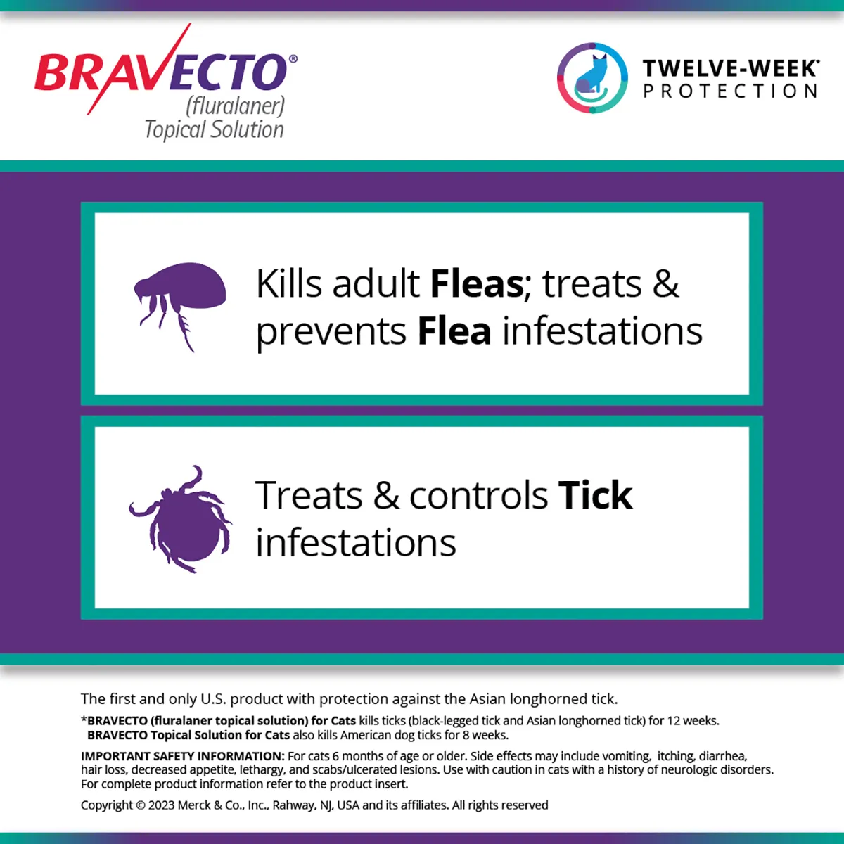 Bravecto Topical For Cats Rx - Image 4