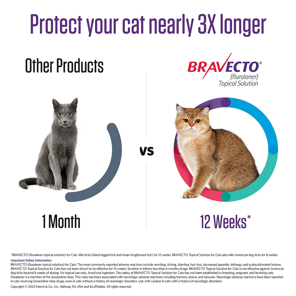 Bravecto Topical For Cats Rx - Image 5