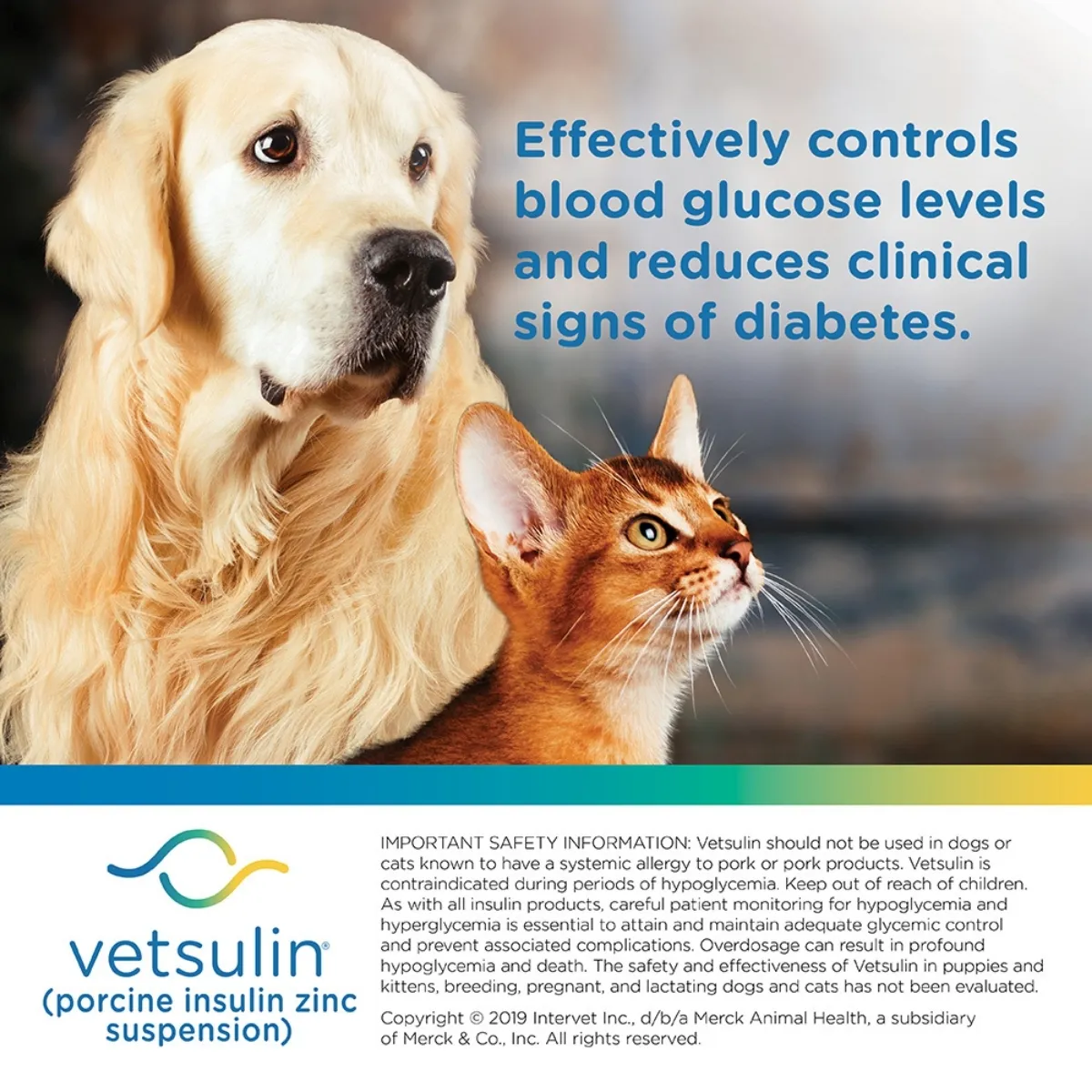 Vetsulin Injectable Suspension For Dogs And Cats Rx - Image 6