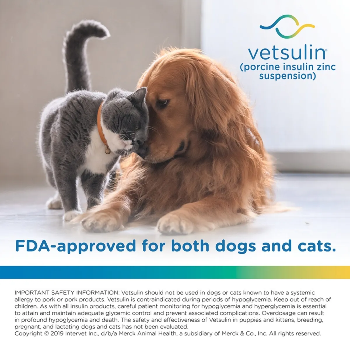 Vetsulin Injectable Suspension For Dogs And Cats Rx - Image 7