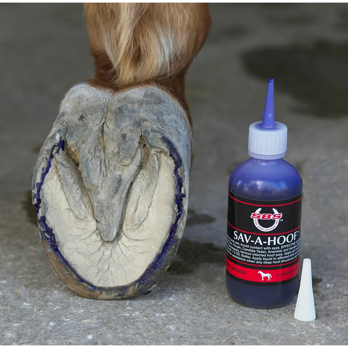 Sav-A-Hoof Gel II For Horses - Image 6