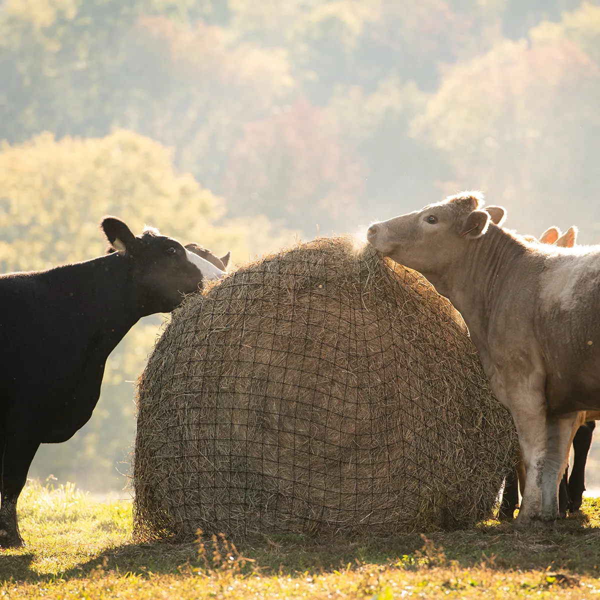Round Bale Hay Net - Image 4