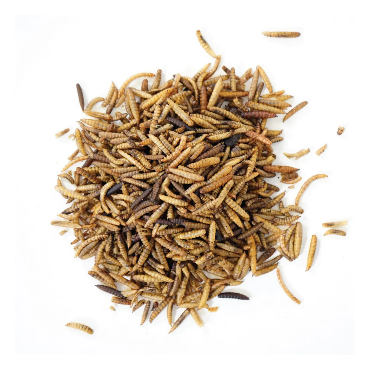 Bug Buffet Poultry Treat - Image 3