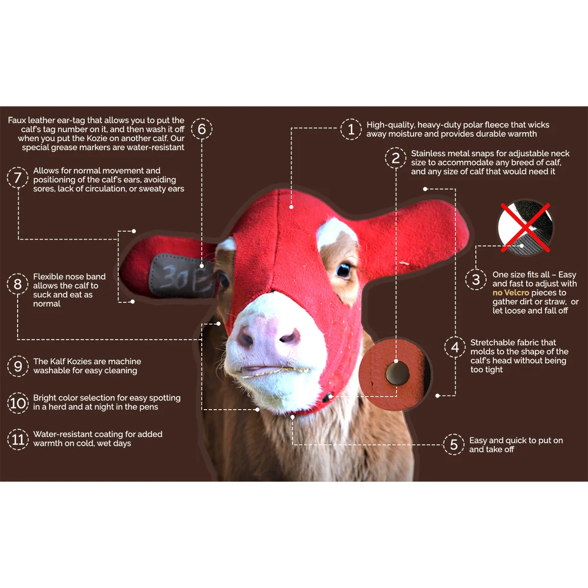 Kalf Kozie - Image 2