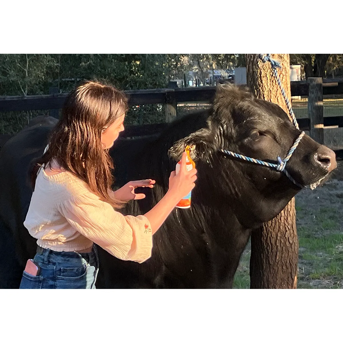 Groom's Hand Derma360 - Image 2