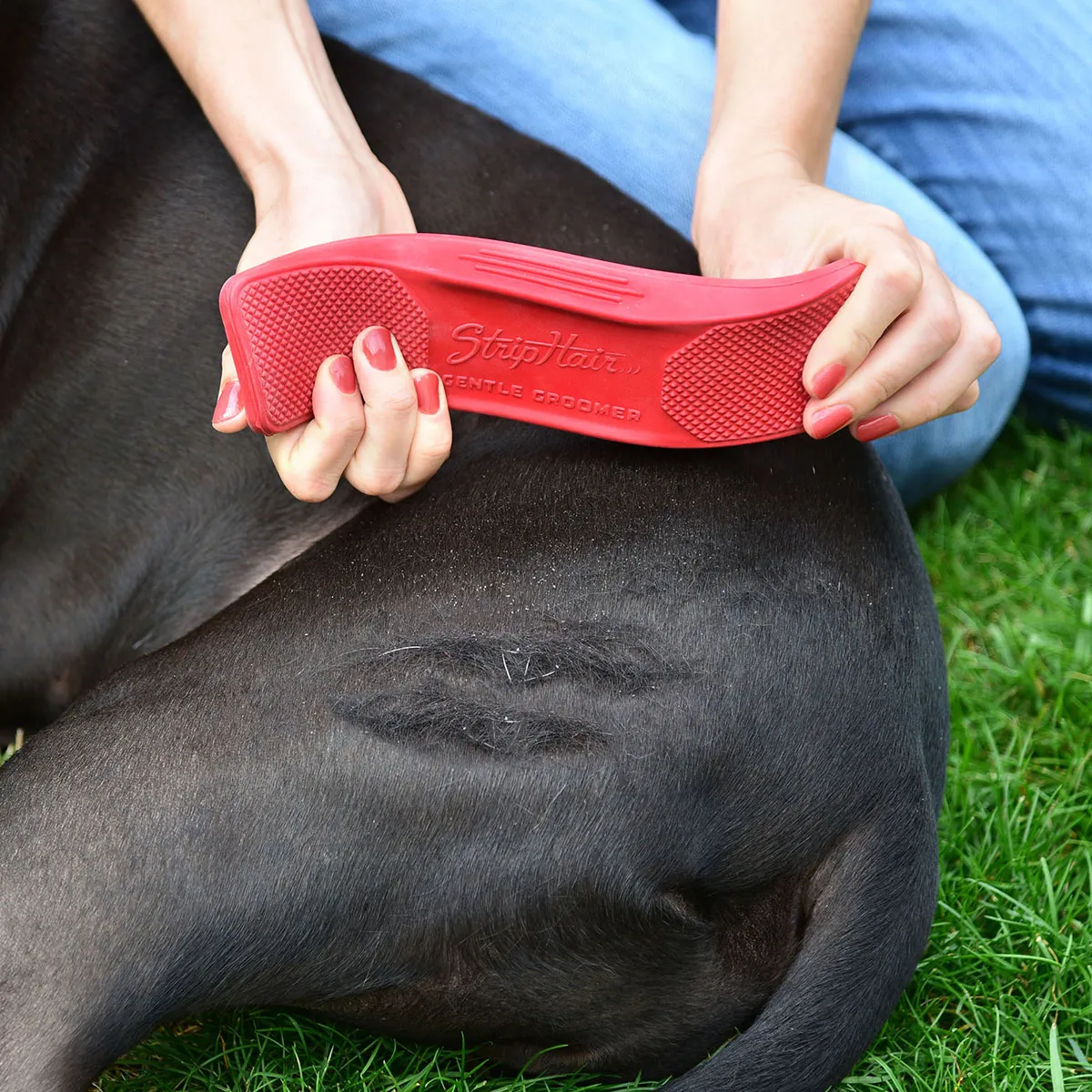 StripHair Gentle Groomer - Image 6