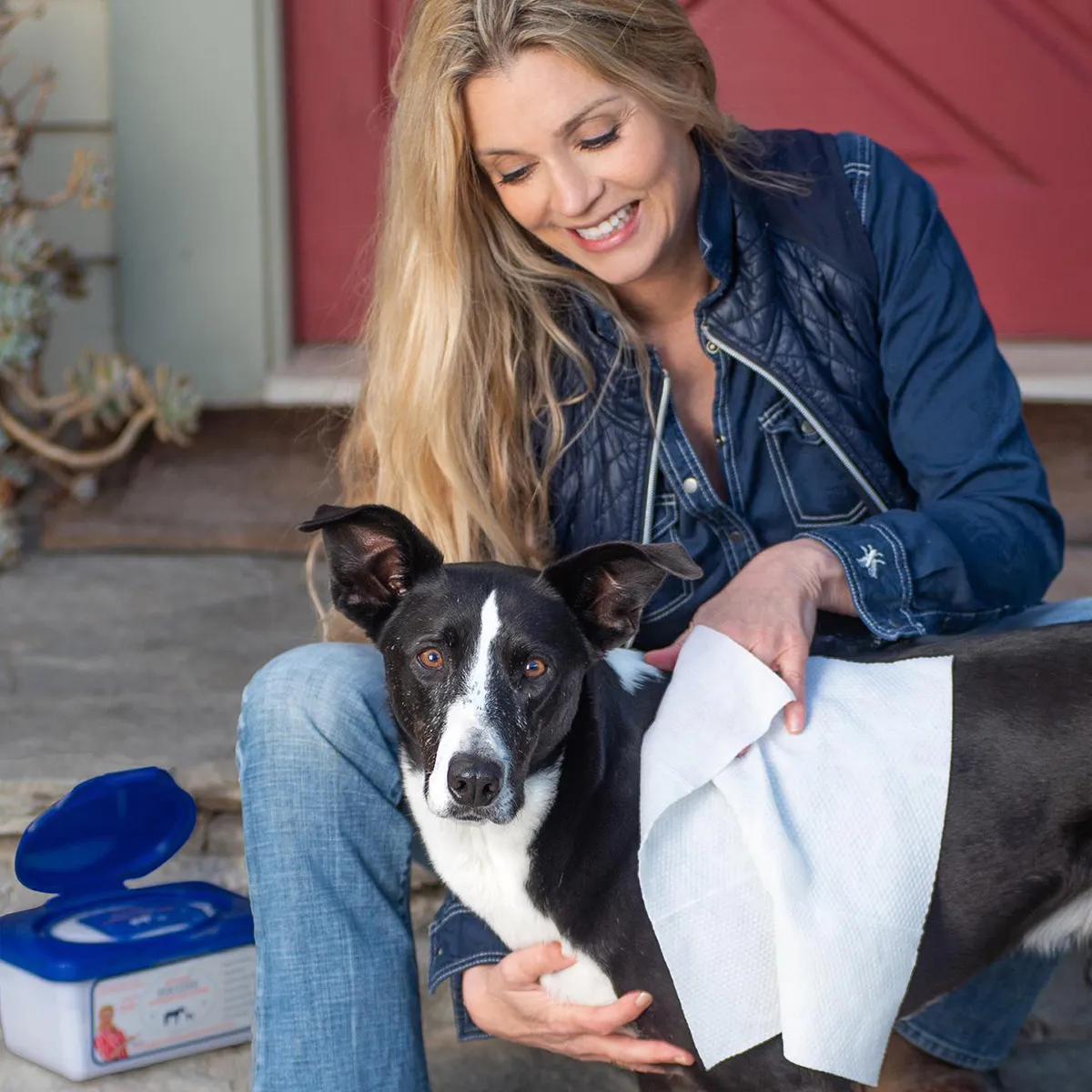 Skin & Coat Grooming Cloth Wipes - Image 4