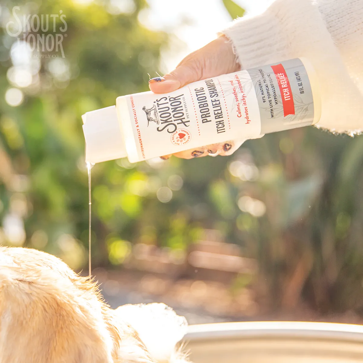 Probiotic Itch Relief Shampoo - Image 4